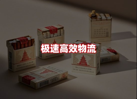 专业团队
